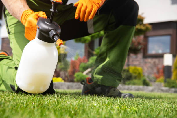 Pest Control Cost in Corona, CA